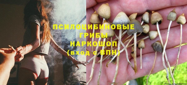 тгк Белокуриха