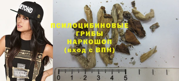 бошки Протвино