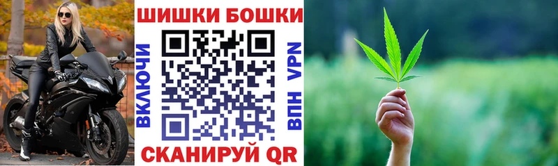 Бошки марихуана THC 21%  Шенкурск 